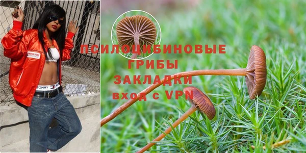мяу мяу мука Няндома