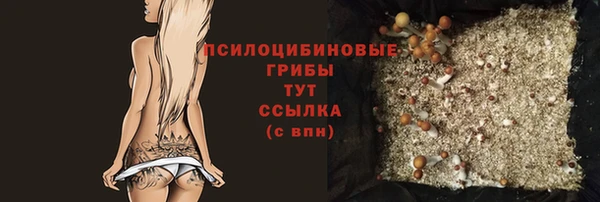 мяу мяу мука Няндома