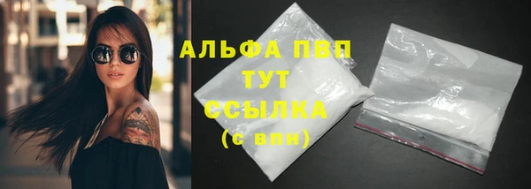 прущие грибы Нязепетровск