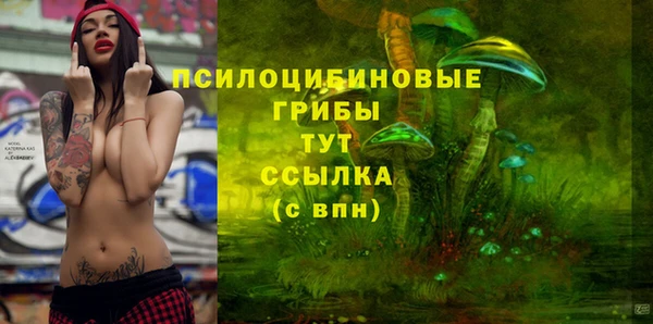 прущие грибы Нязепетровск