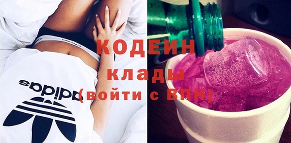 прущие грибы Нязепетровск