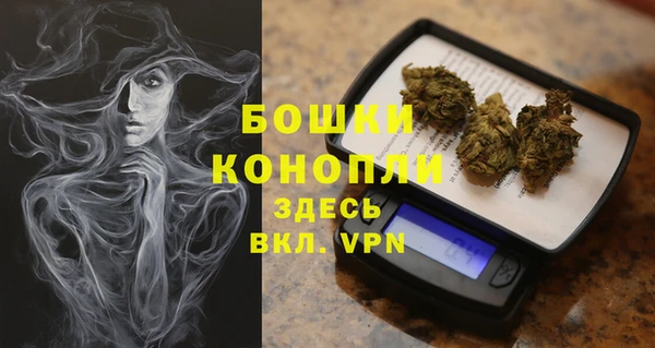 прущие грибы Нязепетровск