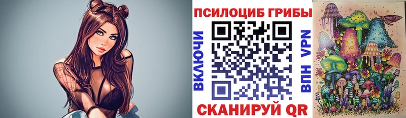 Псилоцибиновые грибы мицелий  Пыталово 